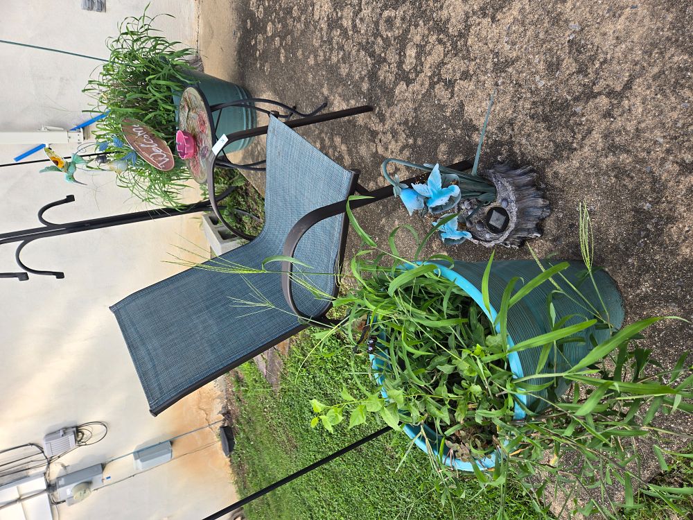 Lot 161: Lot of Patio Chair Plants Shepard Hook
