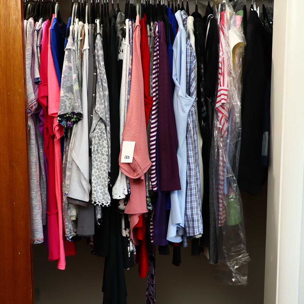 Lot 183: Lot of womens clothing