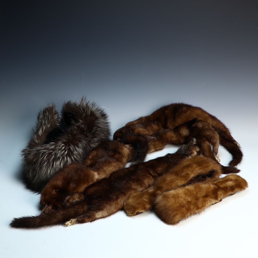 Lot 258: Lot of fur stole