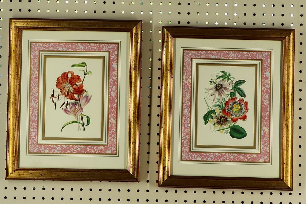 Lot 276: Ariel Press of London made in England Botanical art