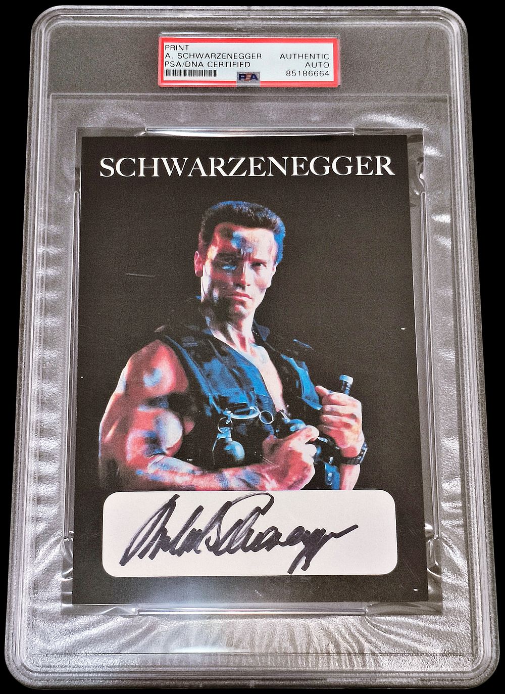 ארנולד שוורצנגר - תצלום חתום מהסרט "קומנדו" משנת 1985, בגודל 12X17 ס"מ, עם אישור אותנטיות של 