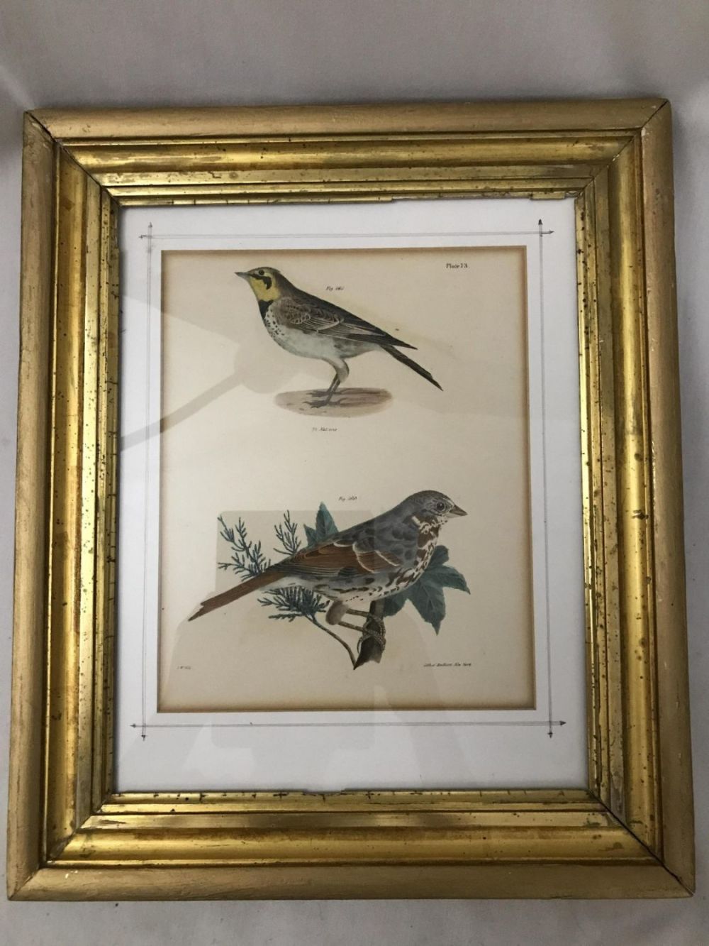 Lot 213: Antique Birds Lithograph Frame measures 16.5 inches by