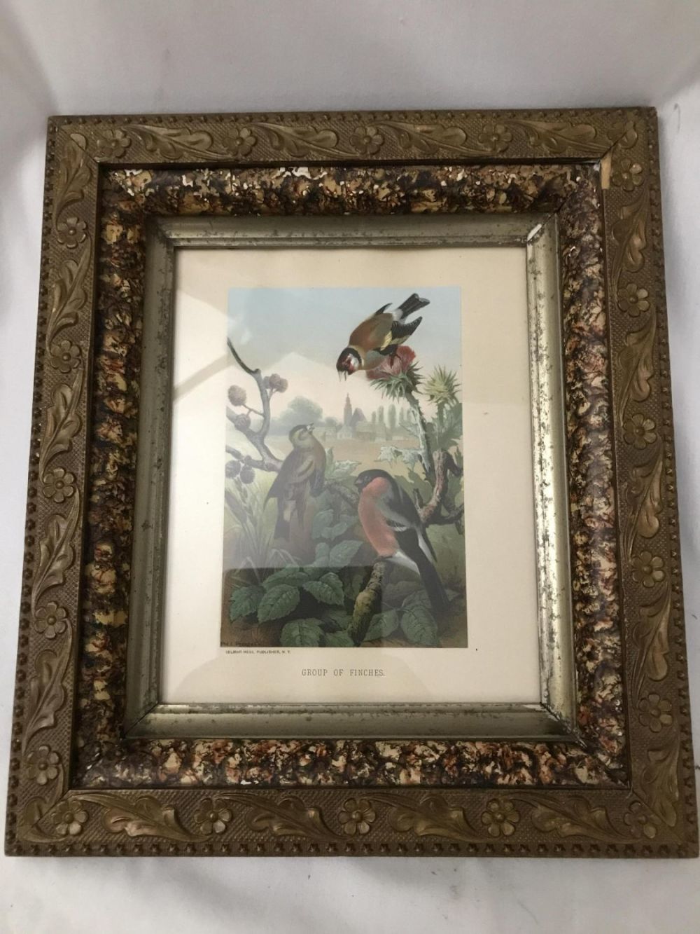 Lot 215: Group of Finches Litho in Elegant Frame Frame measures