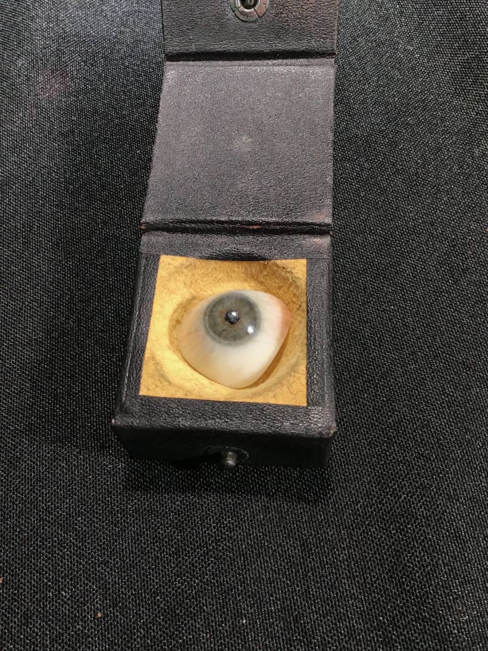 Lot 167: Antique Glass Eye With Leather Case From Buffalo NY
