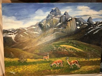Llamas Oil on Canvass by Gamarra Measures 48x36. Measures 48x36