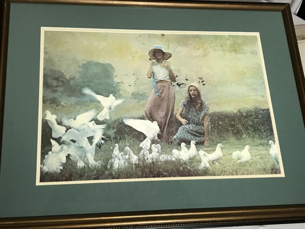 Lot 162: Ladies Feeding Doves Framed Print Elegant frame