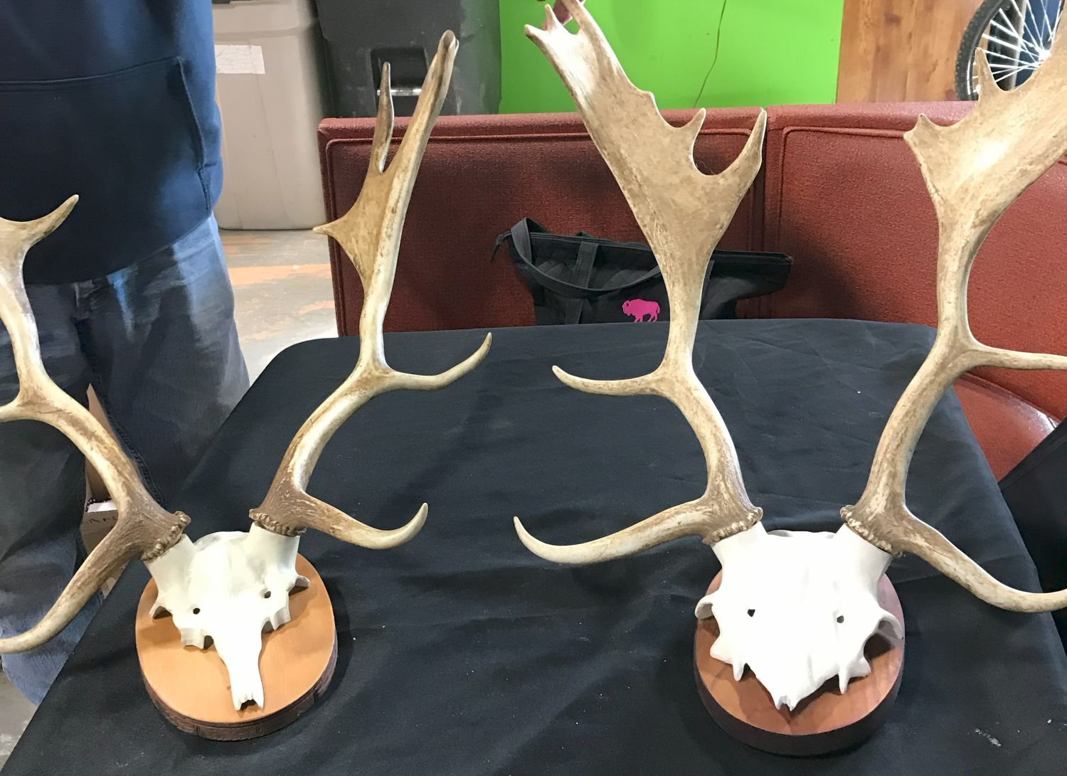 Lot 163 Antler Mounts (2) The Lodge Auction House