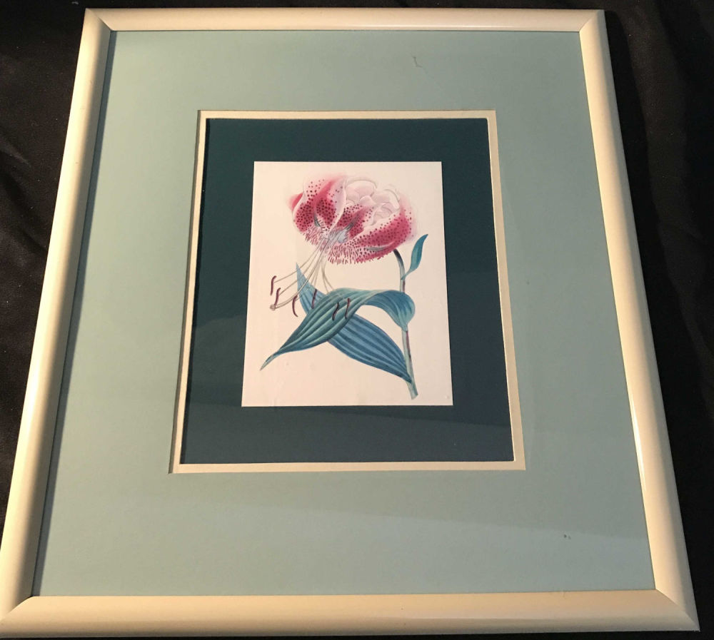 Lot 178: Flower Print Plastic Frame with Glass