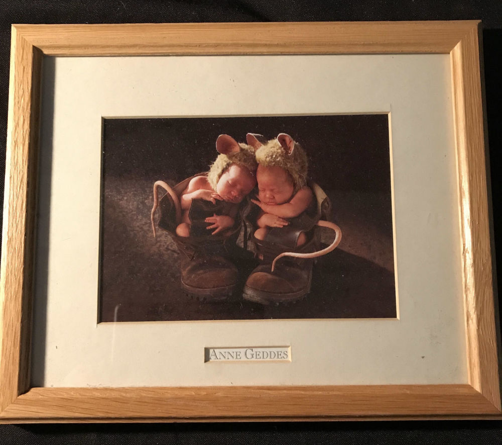 Lot 191: Field Mice Baby Photo by Anne Geddes