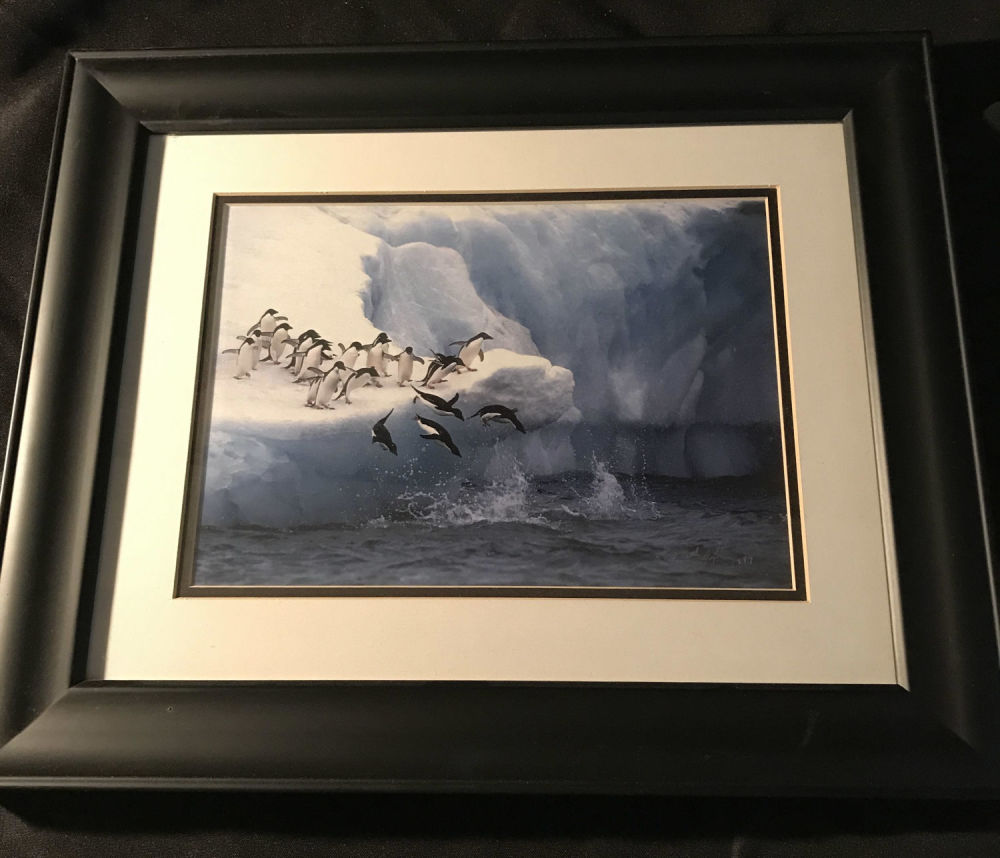 Lot 197: Photograph of Penguins Jumping into Ocean Framed