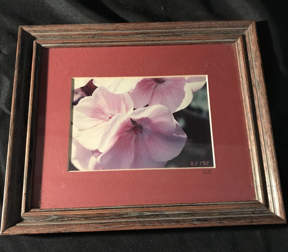 Lot 238: Pink Flower Photography Wooden frame with glass
