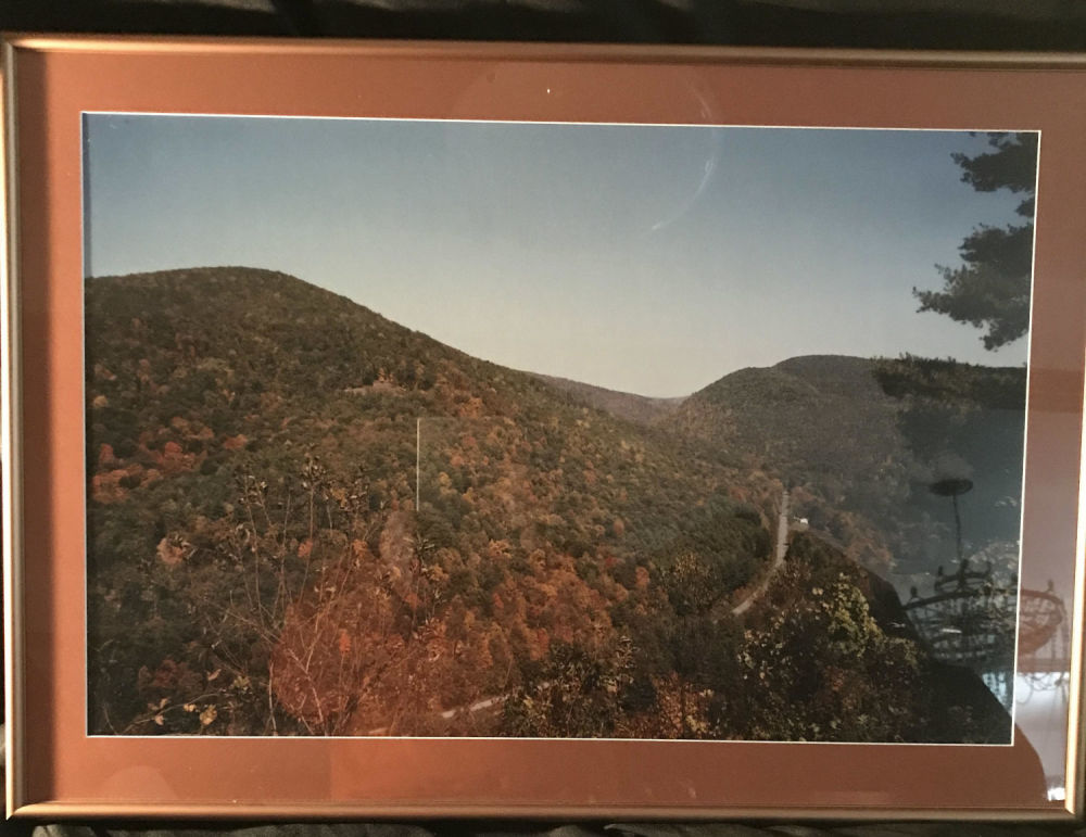 Lot 245: The Beautiful Colors of Trees in the Mountains