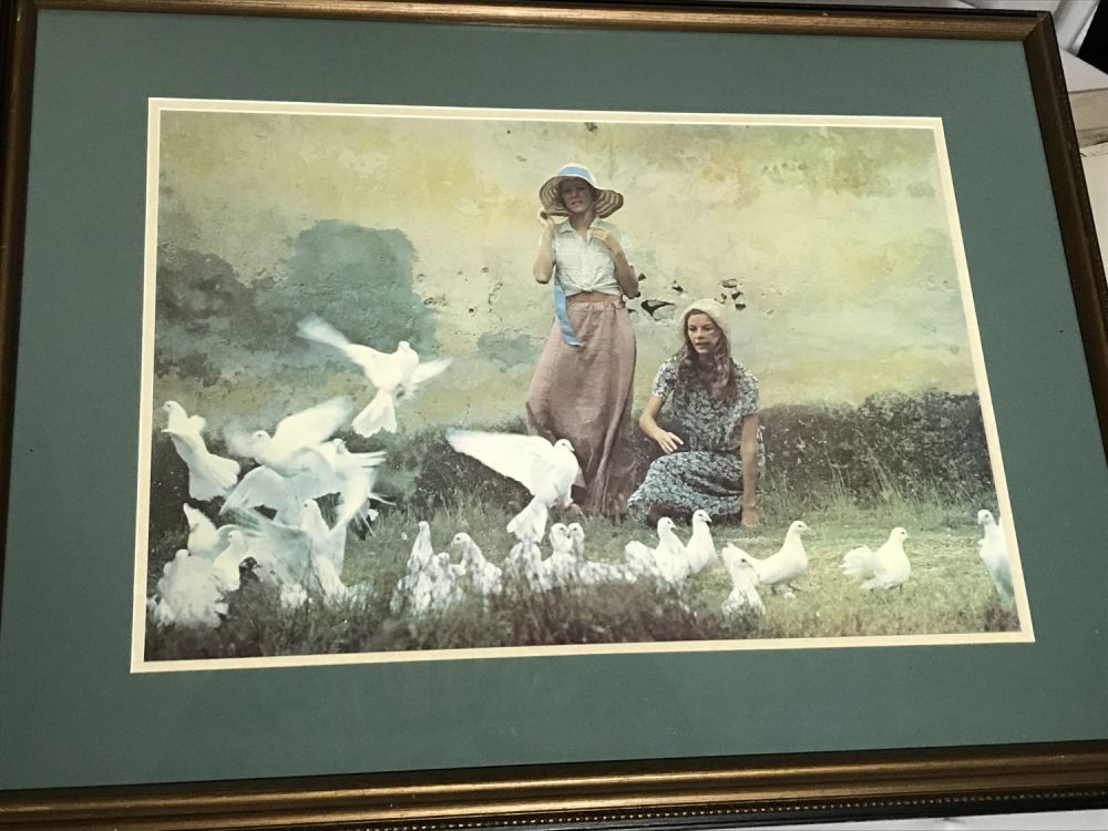 Lot 315: Feeding The Doves Framed Print
