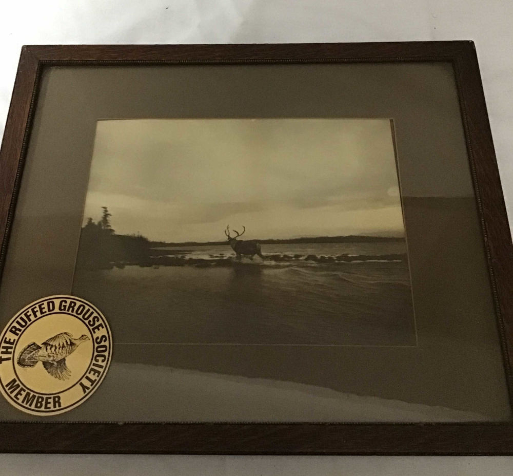 Lot 338: Vintage Caribou Crossing Water Picture