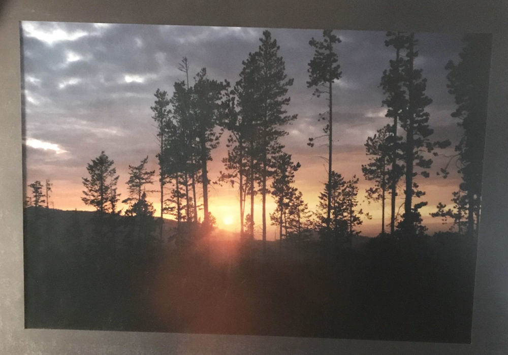 Lot 251: Serene Picture of Trees at Sunset on the Ridge