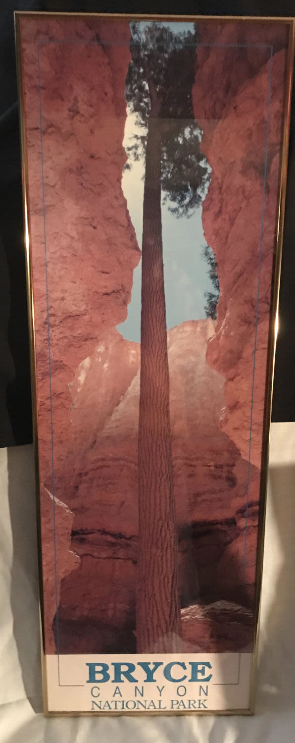 Lot 252: Amaing Phoyo of Tree from Bryce Canyon Nation