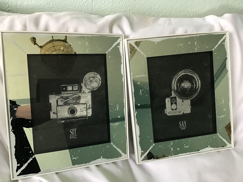 Lot 397: Camera Artwork (pair)