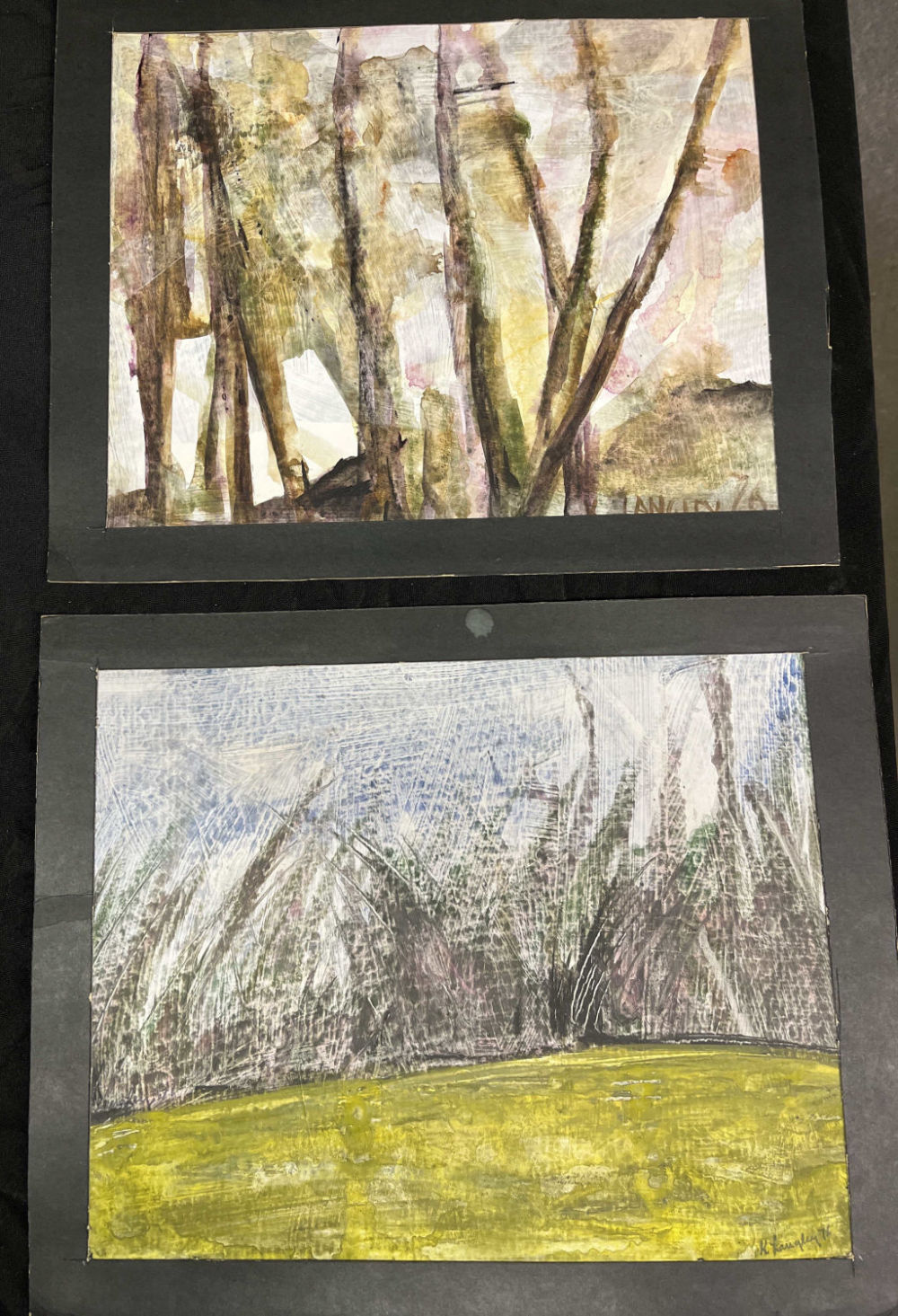 Lot 245: Katherine Langley Watercolors Algae Creek & Limbs