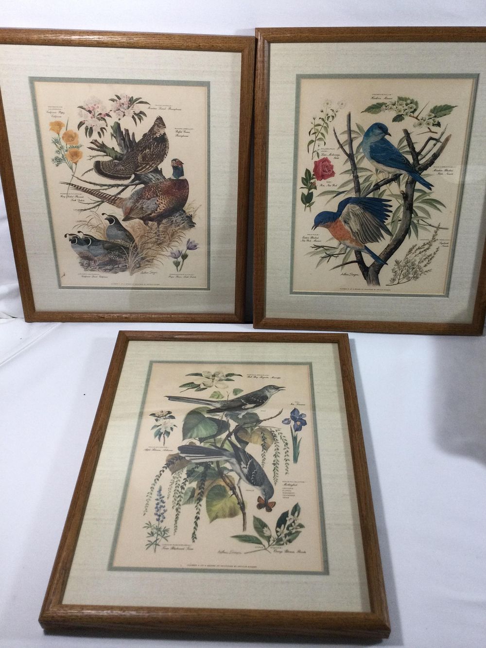 Lot 238: Arthur Singer Bird Prints Collection (3)