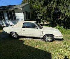 Lot 1: 1982 Dodge 400 Convertible - Runs
