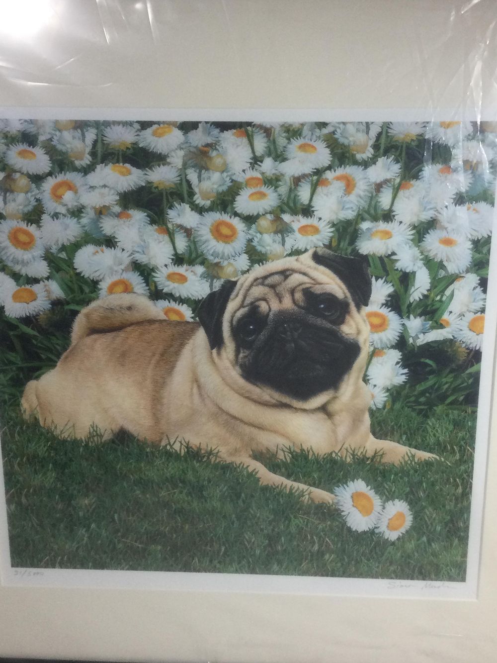 Lot 244: Limited Edition Danbury Mint PUG Art