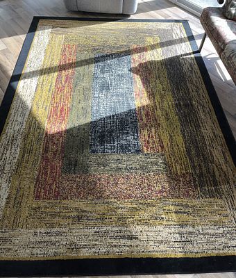 Home Dynamix Royalty Rug. Measures 9 foot 5 inches by 6 foot 5 inches, used but in good conditions
