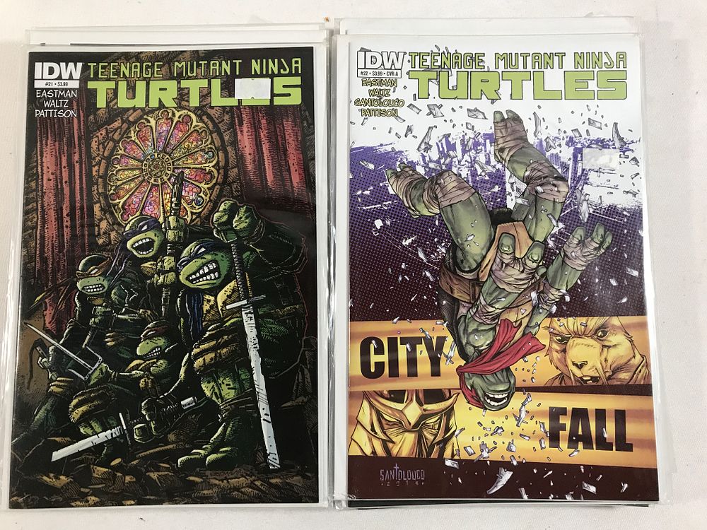 Lot 286: Teenage Mutant Ninja Turtles Comic Book Collection