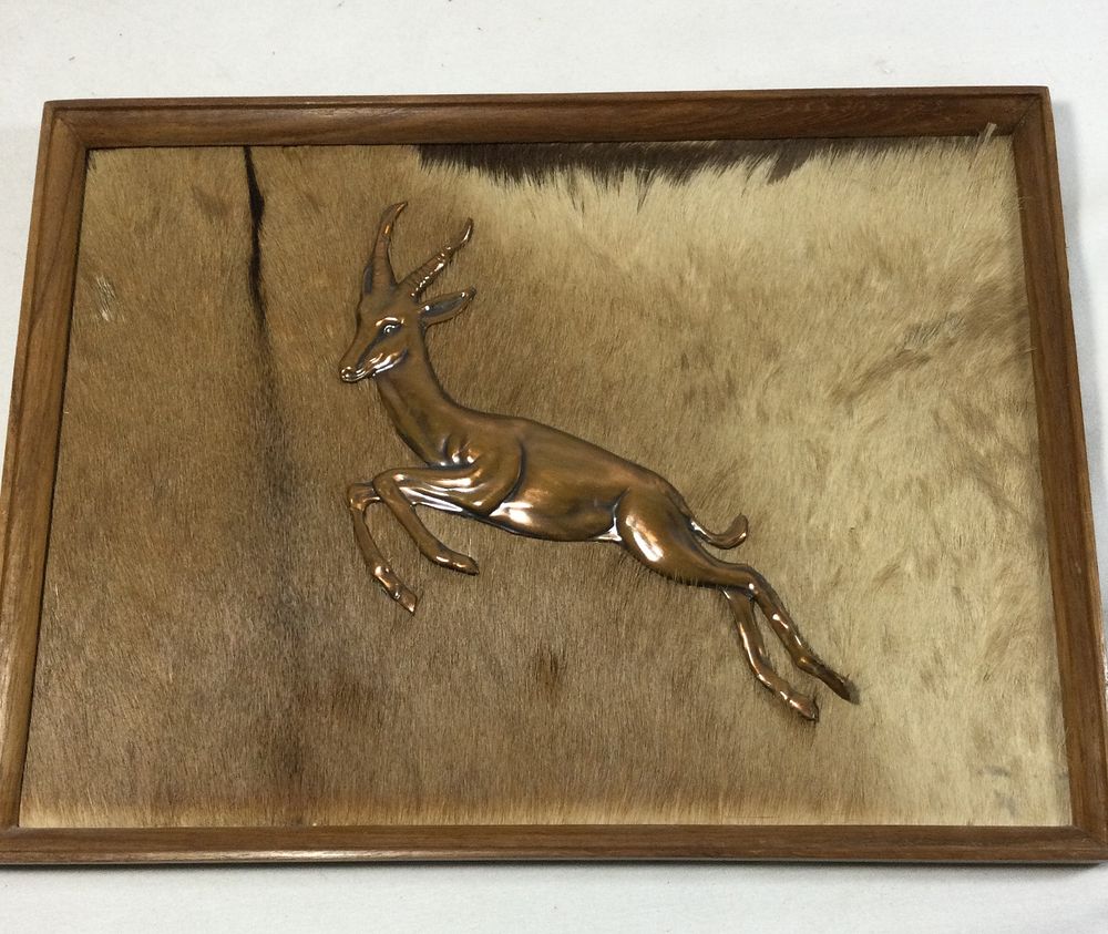 Lot 339: Raised Brass Springbok Antelope Hide