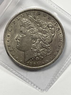 1891 Morgan Dollar Raw. .