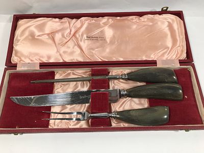 Real Buffalo Horn Handle Carving Set in case. Lewis Rose & Co.