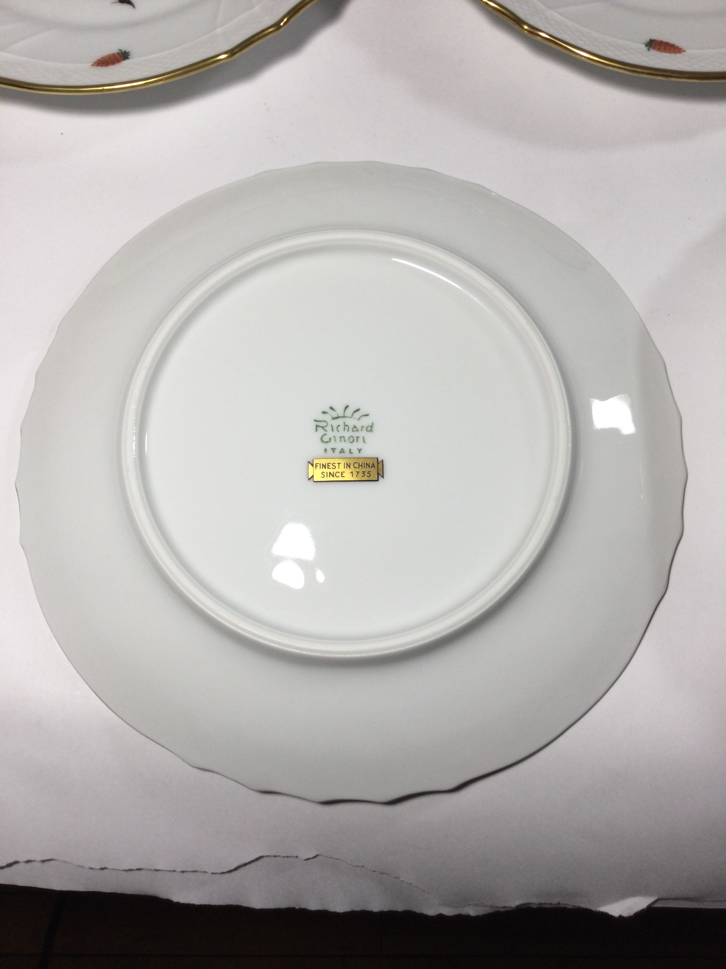 Richard Ginori Crafted in Italy Plate Collection