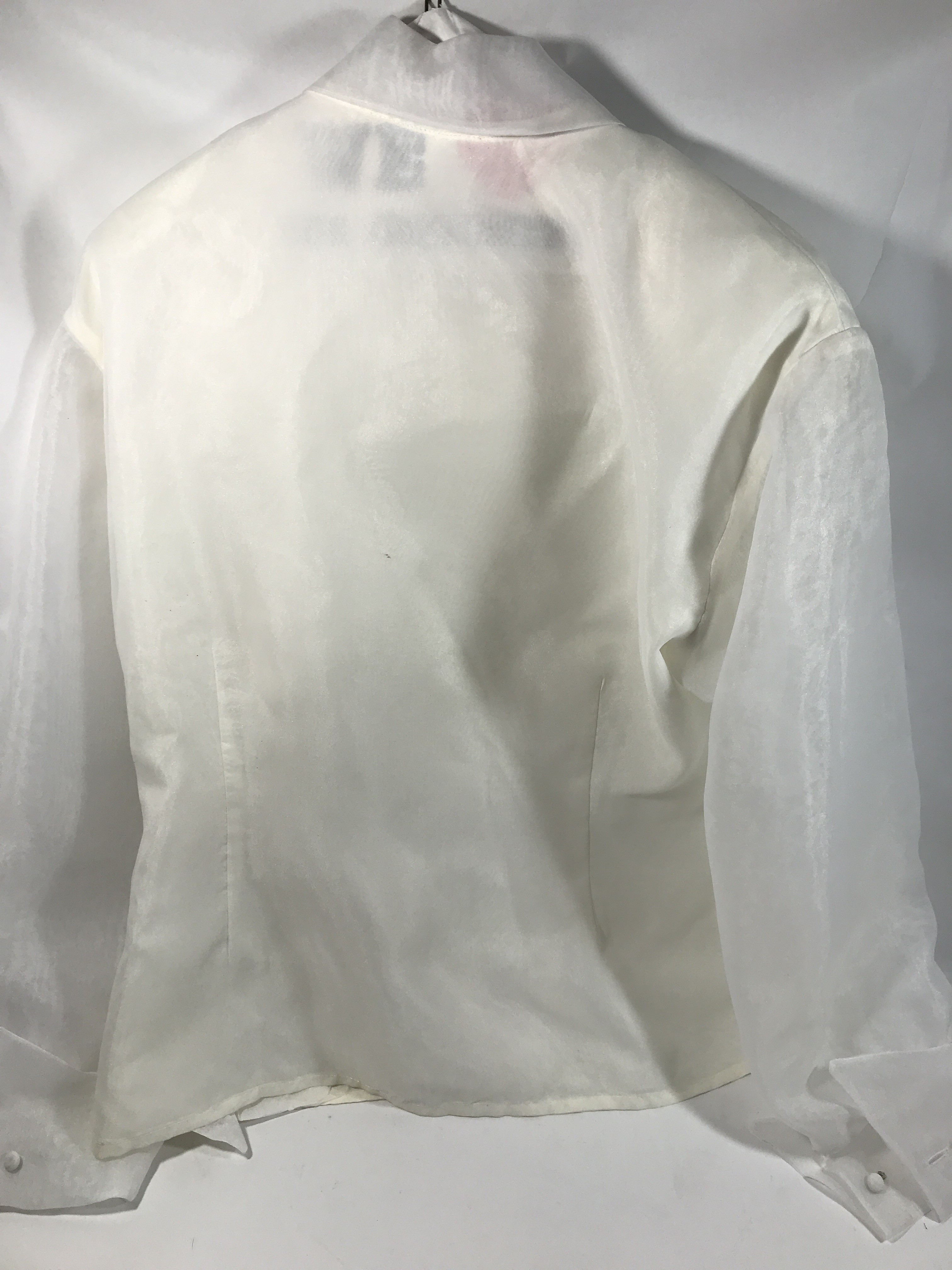Vintage Decorative Button Sheer Sleeve Shirt