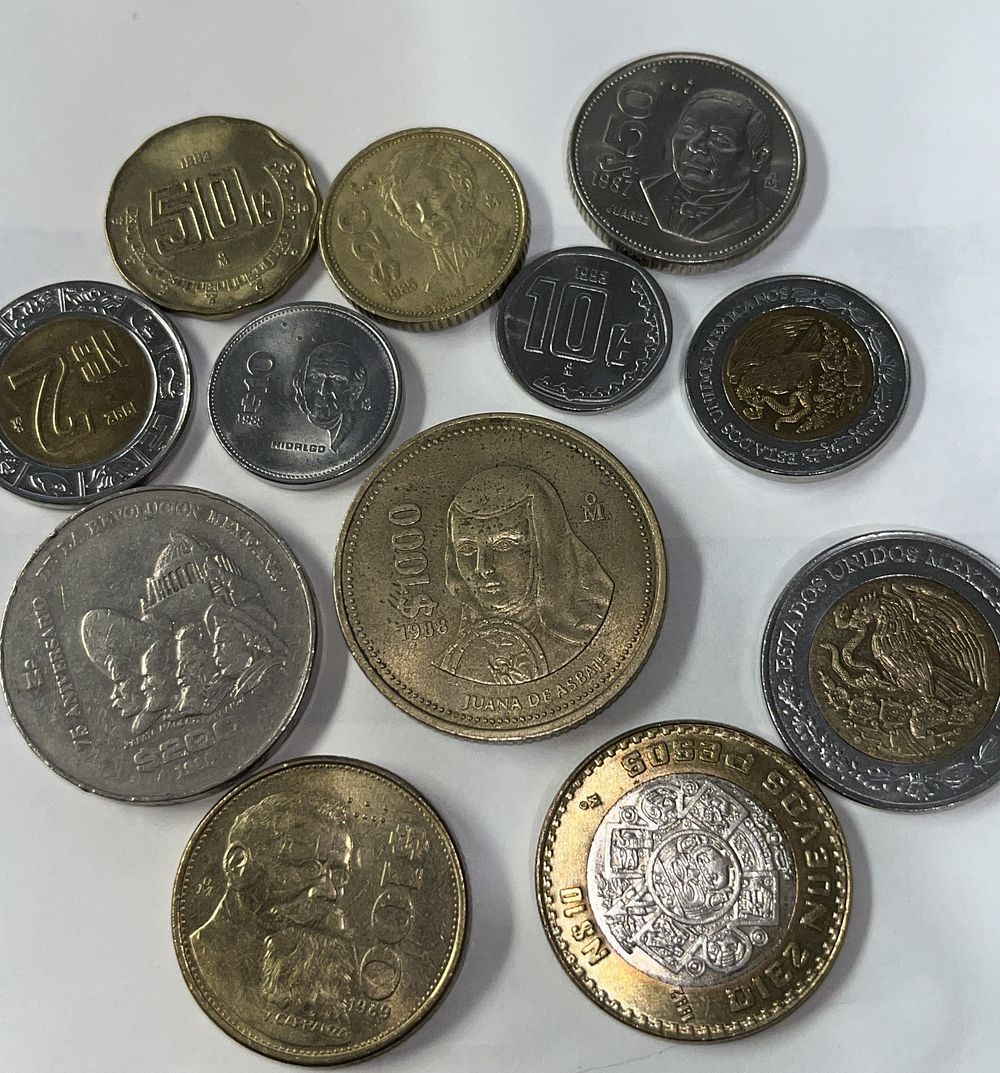 Lot 21: Mexican Coin Collection