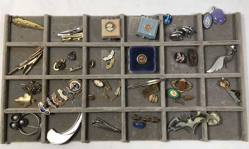 Lot 30: Pin Collection