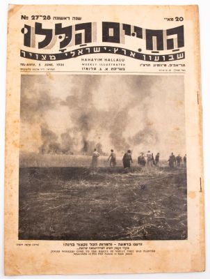 שבועון "החיים הללו" מוסף המוקדש כולו ליריד המזרח 1936, אשר היה היריד השני והתנהל במתכונת 
