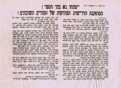 פלאייר מקורי, מ-12 בנובמבר 1944, מאת הסיעה הדמוקרטית העממית באספת הנבחרים, סביב הדרישה לפתוח את 