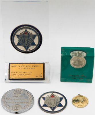 לוט פריטים צה"ליים הקשורים להדרכה, כולל: 1. מדליון עם סמל צה"ל ביציקת פרספקס, צוות ההפעלה 