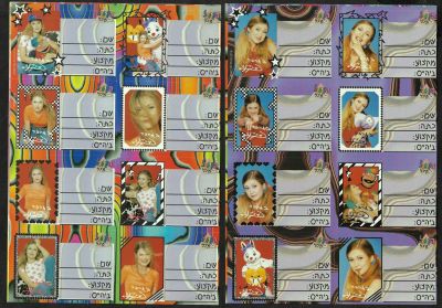 מיכל ינאי - לוט 2 דפי מדבקות לתלמיד של מיכל ינאי, שונים זה מזה