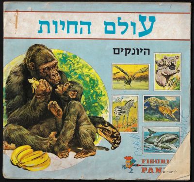 עולם החיות - אלבום קלפים עולם החיות - היונקים, PANINI, הוצאת קנזור בע"מ, שנות השבעים, מלא חלקית - 