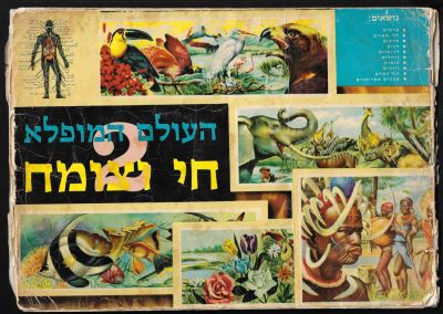 העולם המופלא - אלבום קלפים העולם המופלא 2 - חי וצומח, הוצאת נירם, מצב בינוני: פגמים בכריכה. מספר 