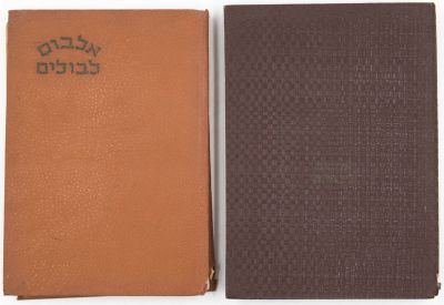 לוט שני אלבומי בולים. 1. אלבום גדול, 12 דפים של בולי ישראל עם שובל, לא חתומים. 2. אלבום גדול 