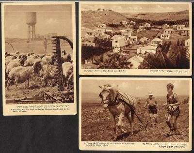 לוט 3 גלויות ארץ ישראל, הוצאת ברגר את הפנר, קרקוב: 1. בני ברק. 2. רועה ועדרו בעמק יזרעאל. 3. 