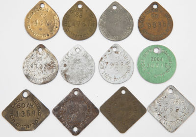 לוט 12 תגי כלבים, שנים שונות, חומרים שונים וצורות שונות