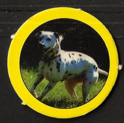 סדרת החיות - פוג מסדרת החיות הנדירה, מספר 806 - כלב דלמטי. יצוין כי סדרת החיות היתה האחרונה בסדרות 