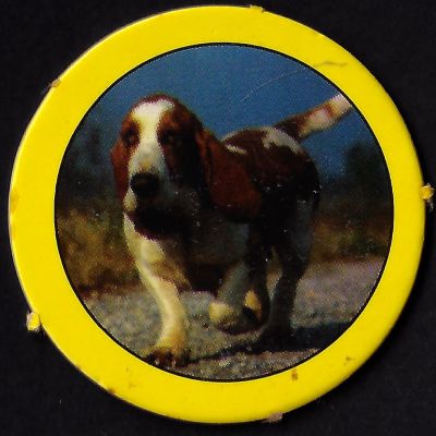 סדרת החיות - פוג מסדרת החיות הנדירה, מספר 802 - כלב תחש. יצוין כי סדרת החיות היתה האחרונה בסדרות 