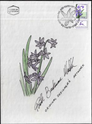 יקינטון מזרחי - הסקיצה המקורית לבול פרח היקינטון, מאת האמן חנן מלכא בקמן. הבול ראה אור ב-1999. מידות 