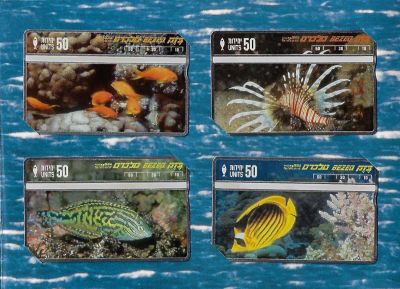 פולדר סדרת דגי שונית האלמוגים באילת. מכיל 4 טלכרדים של בזק, חדשים ולא היו בשימוש. 1997. הונפקו 