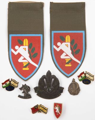 לוט סיכות ותגים של צה"ל והתעשיה האוירית, כולל: סיכת נחל מוקדמת, סמל כובע חיל מודיעין, סיכת כושר 