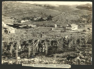 קרית ענבים - תצלום של קיבוץ קרית ענבים, הסמוך לירושלים, שנות העשרים. בתצלום ניראים חברי הקיבוץ 