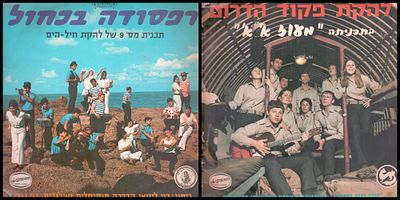 לוט 2 תקליטים של להקות צבאיות, מצבים שונים